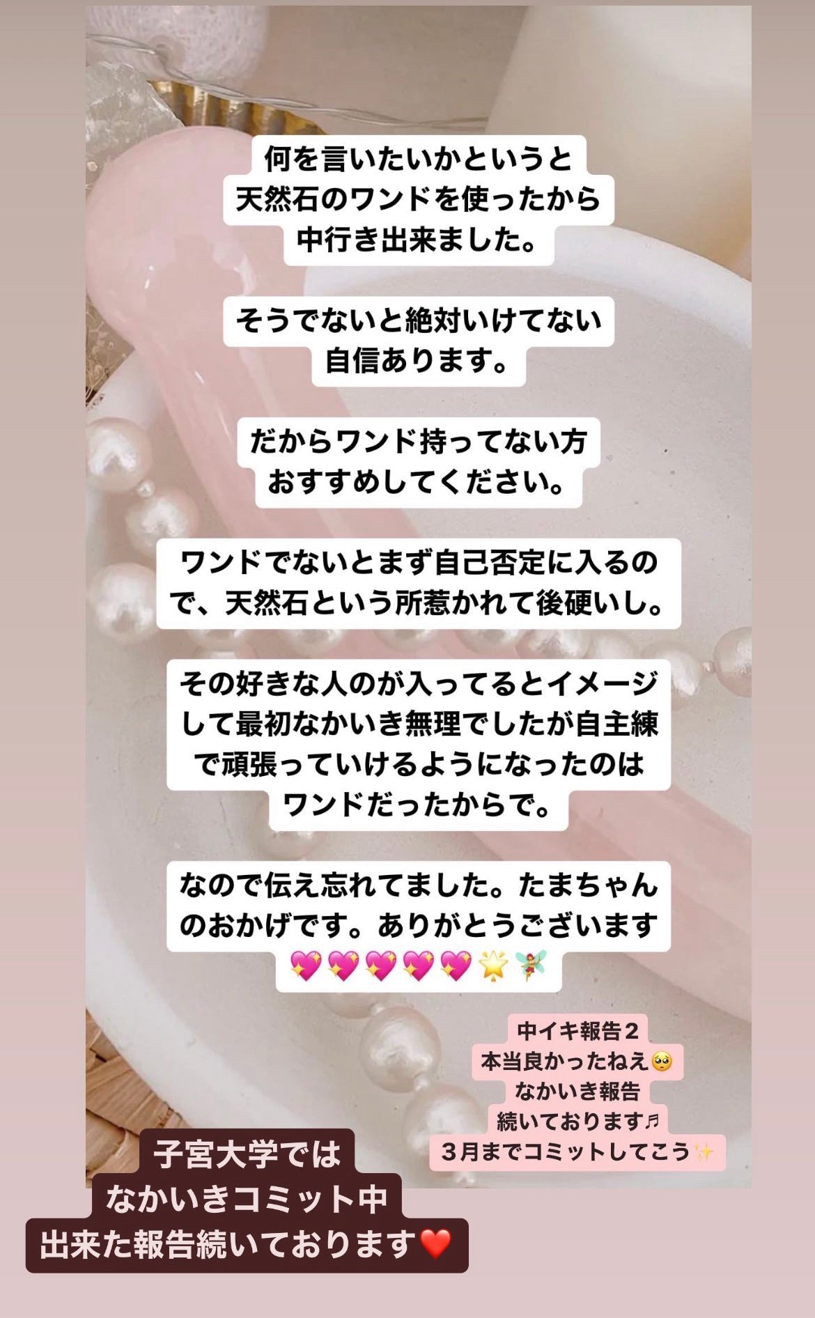 宇於崎様専用分割支払い用カート【関東開催】子宮タオセラピストプロコース