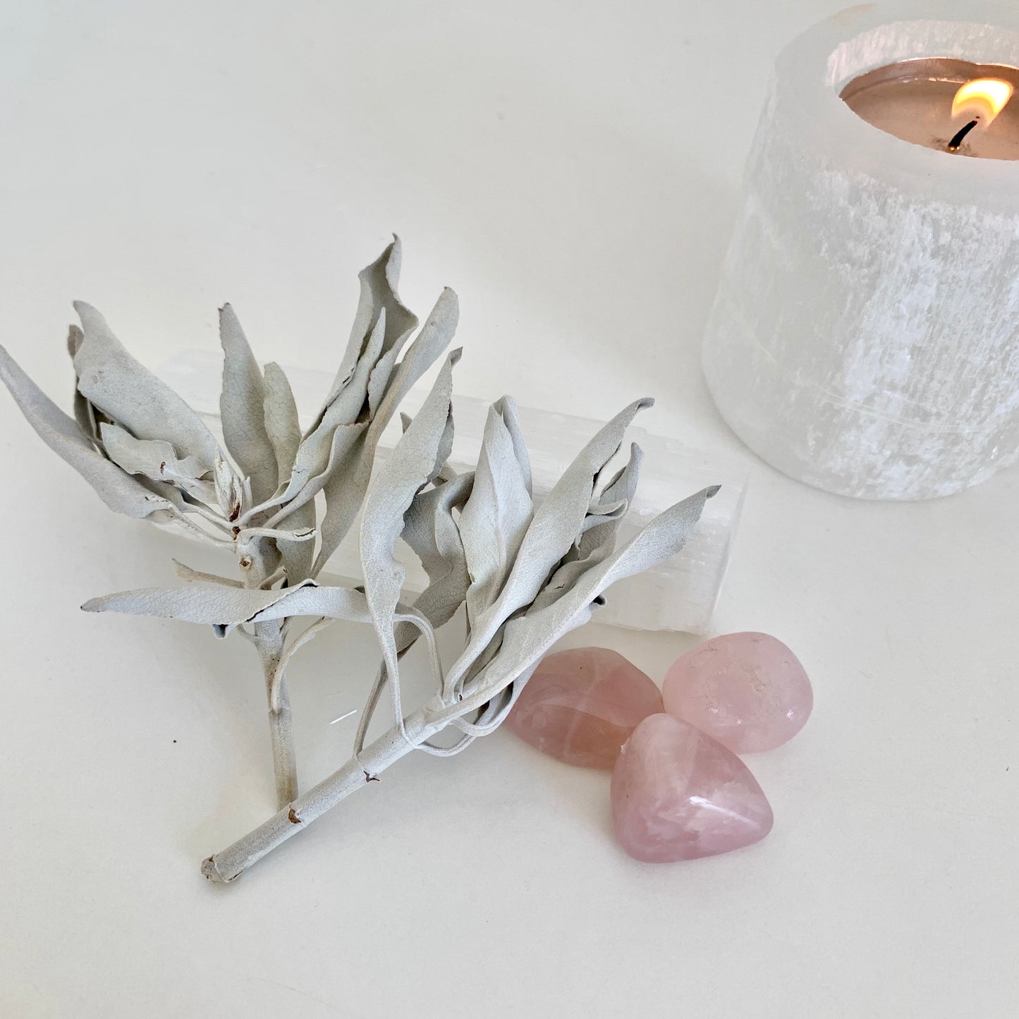 ホワイトセージ(10g)white sage 最高級クラスター -クリスタルと空間の浄化に-