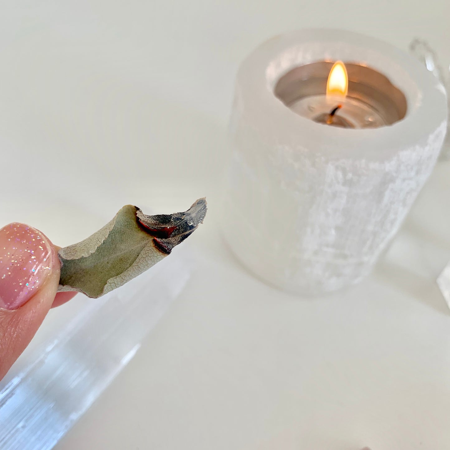 ホワイトセージ(10g)white sage 最高級クラスター -クリスタルと空間の浄化に-