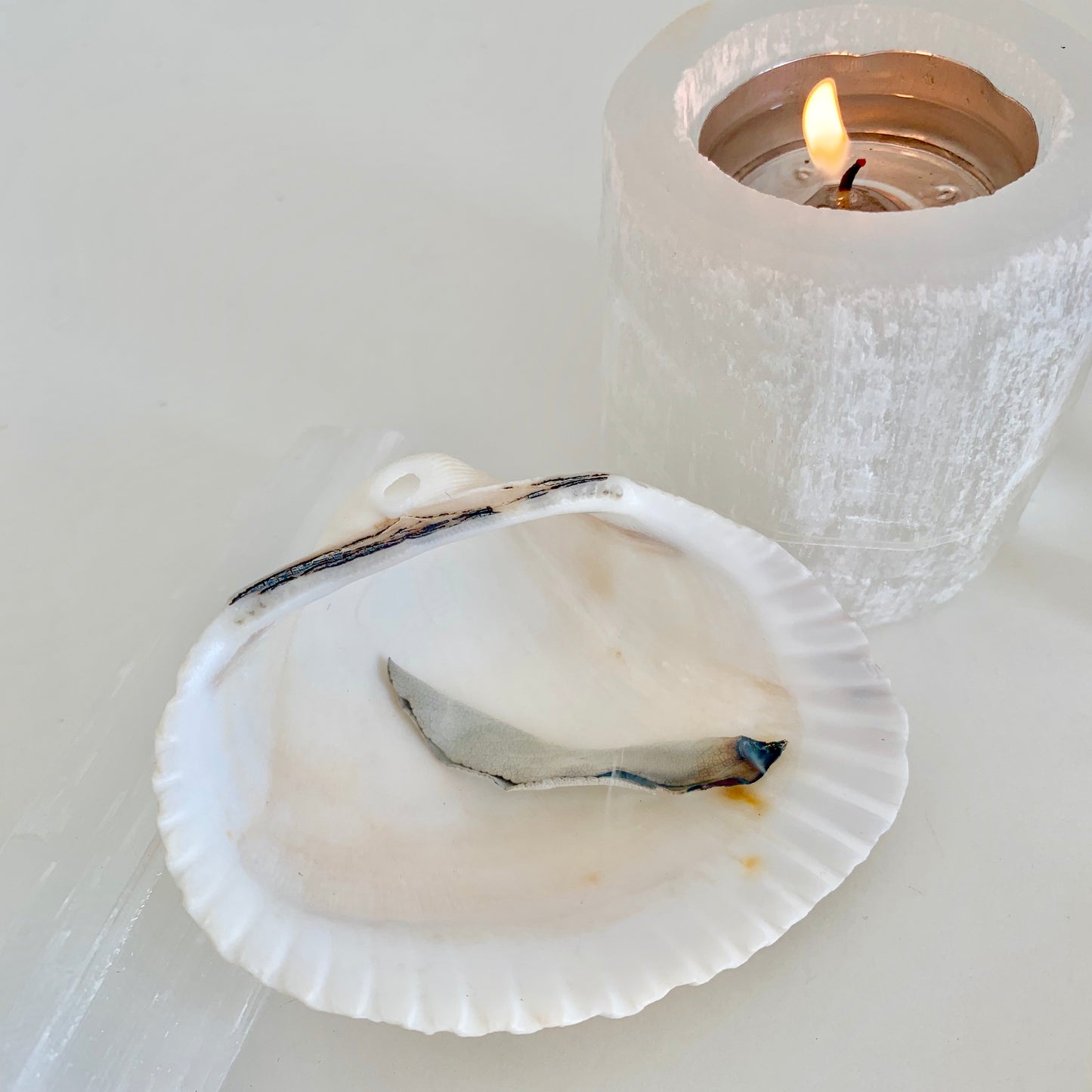 ホワイトセージ(10g)white sage 最高級クラスター -クリスタルと空間の浄化に-