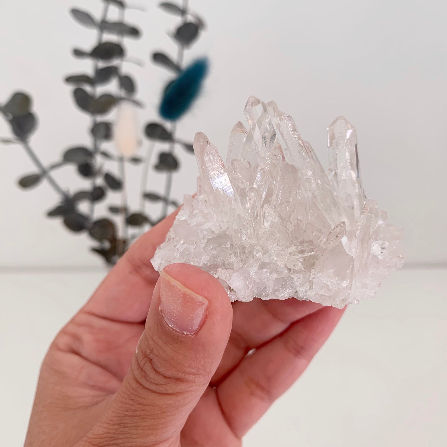 水晶クラスター(トマスゴンサガクォーツ) -ネガティブエネルギーを浄化-