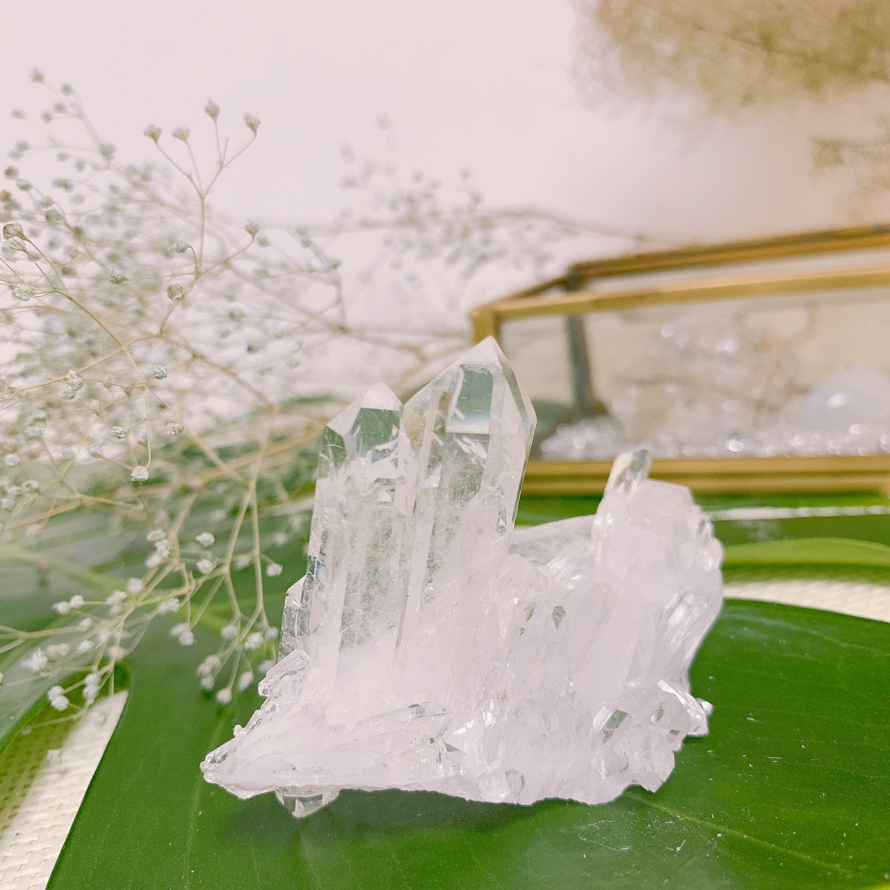 水晶クラスター(トマスゴンサガクォーツ) -ネガティブエネルギーを浄化-